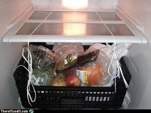 Missing Fridge Shelf? No Problem!
