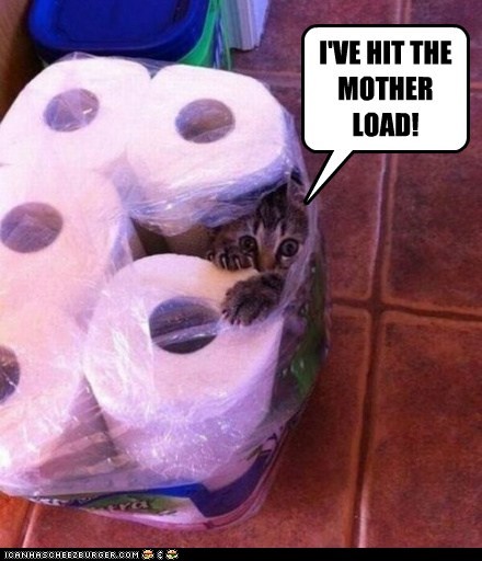 I'VE HIT THE MOTHER LOAD!