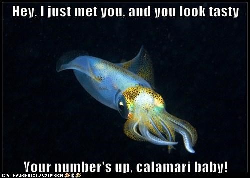 Hey, I just met you, and you look tasty  Your number's up, calamari baby!