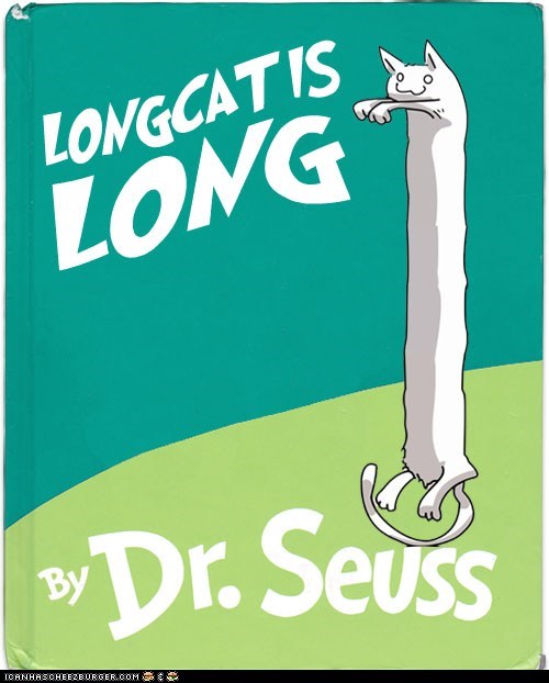 Longcat is Long