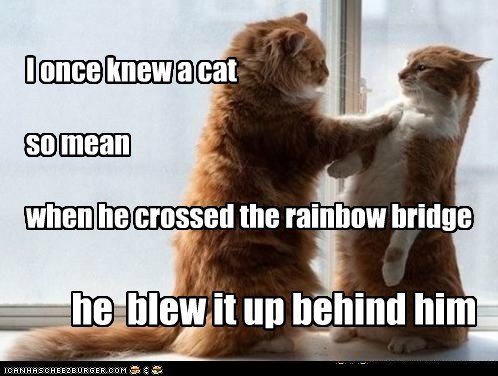 I once knew a cat  so mean  when he crossed the rainbow bridge