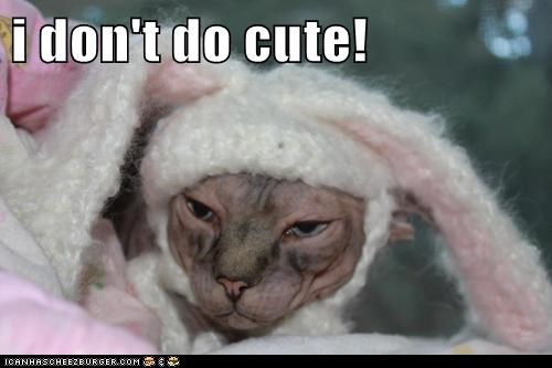 i don't do cute!