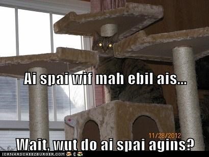 Ai spai wif mah ebil ais... Wait, wut do ai spai agins?