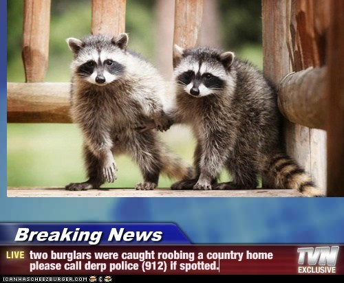 Breaking News - two burglars were caught roobing a country home please call derp police (912) if spotted.