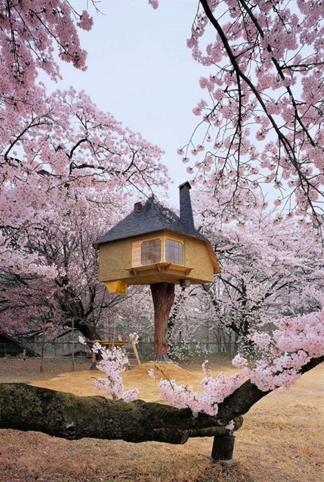 Tetsu Teahouse, Hokuto Japan