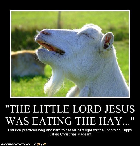 "THE LITTLE LORD JESUS WAS EATING THE HAY..."