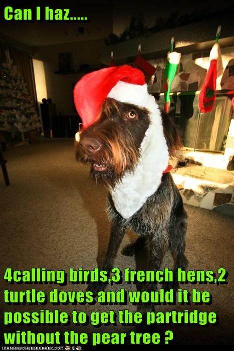 Can I haz.....  4calling birds,3 french hens,2 turtle doves and would it be possible to get the partridge without the pear tree ?