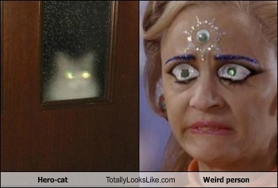Hero-cat Totally Looks Like Weird person