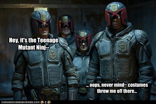 Judges in a Half Shell