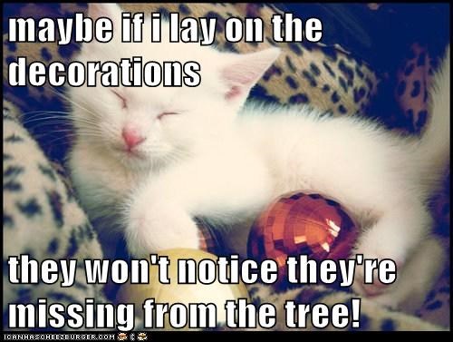maybe if i lay on the decorations  they won't notice they're missing from the tree!