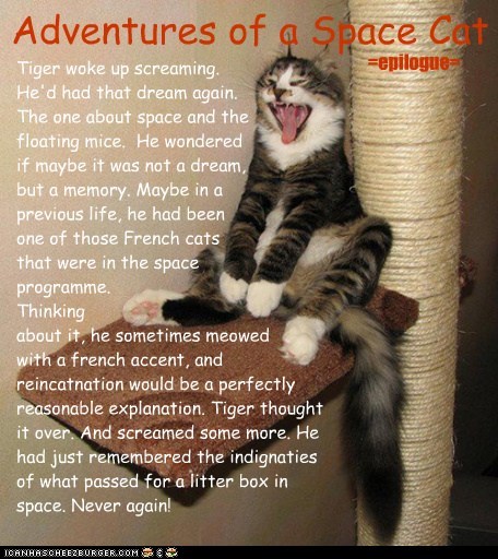 Adventures of a Space Cat =epilogue=
