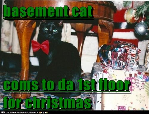 On the 12th Day of Catmas my True Love Gave to Me...