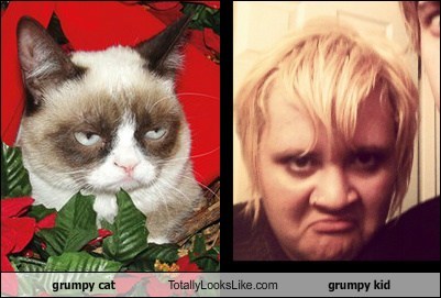 grumpy cat Totally Looks Like grumpy kid