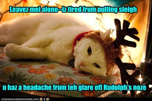 Kitteh-deer haz had it