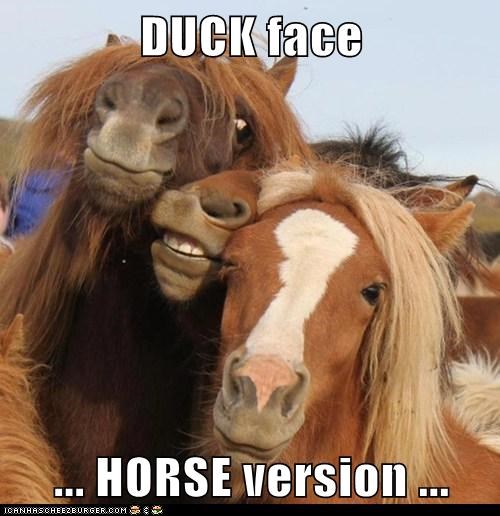 DUCK face  ... HORSE version ...