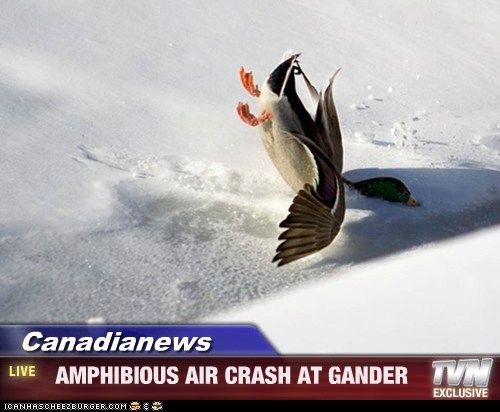 Canadianews -   AMPHIBIOUS AIR CRASH AT GANDER