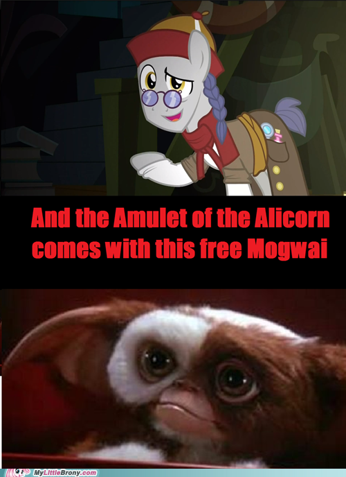 Just Don't Feed It After Midnight 
