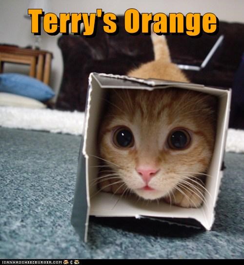 Terry's Orange
