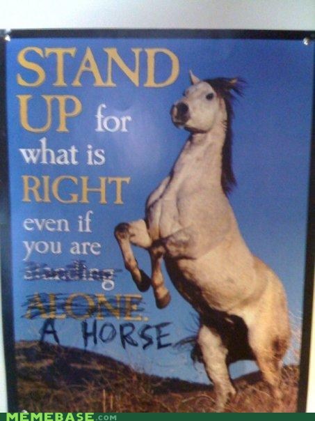 Horses Have Morals Too