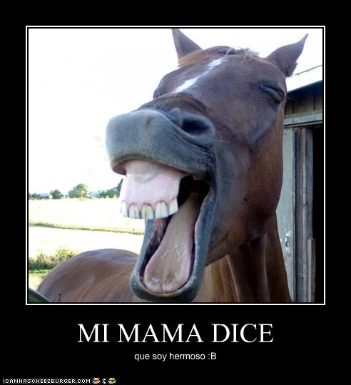 MI MAMA DICE