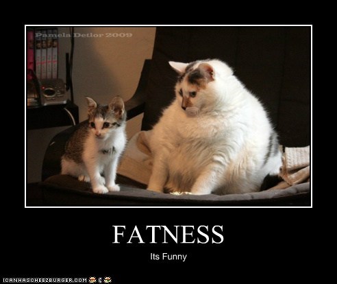 FATNESS