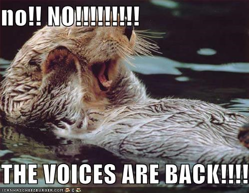 no!! NO!!!!!!!!!  THE VOICES ARE BACK!!!!!
