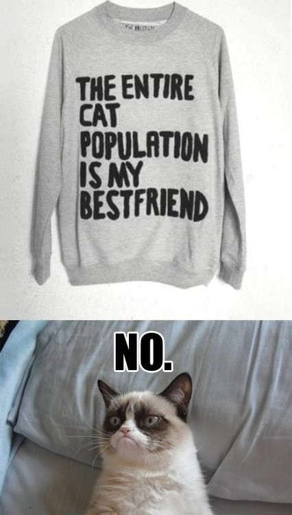 Not This Cat