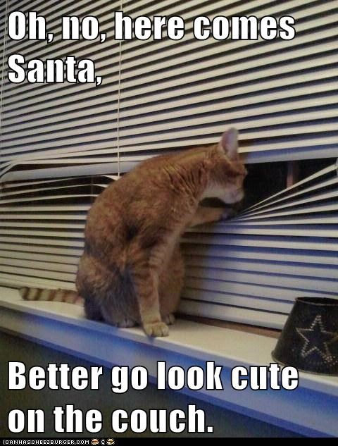 Oh, no, here comes Santa,  Better go look cute on the couch.