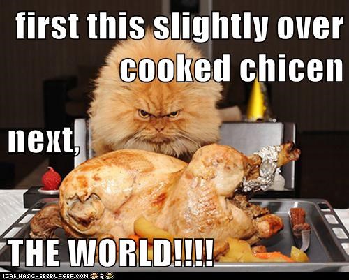 first this slightly over cooked chicen next, THE WORLD!!!!