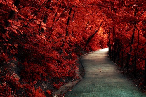 Fiery-Red Path