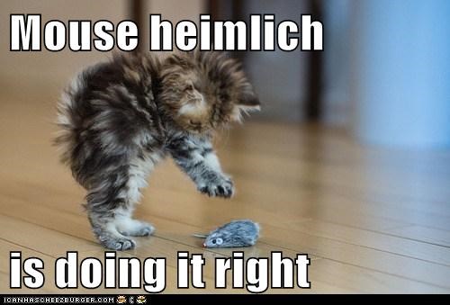 Mouse heimlich  is doing it right