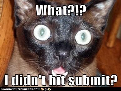 What?!?  I didn't hit submit?