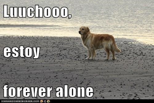 Luuchooo, estoy  forever alone