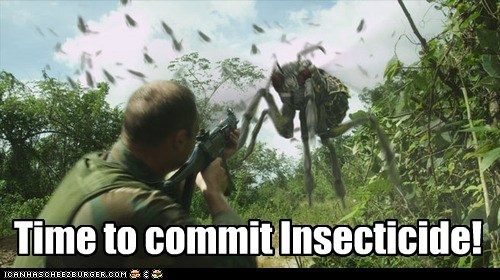 Time to Commit Insecticide!
