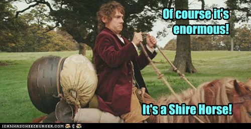 Gee Up - but Slowly...