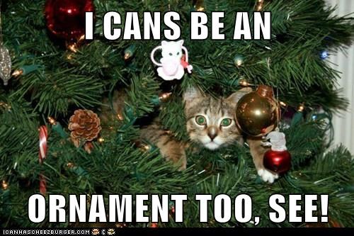 I CANS BE AN   ORNAMENT TOO, SEE!