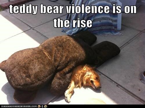 teddy bear violence is on the rise
