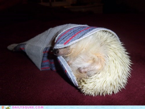 Reader Squee: If I Fits...