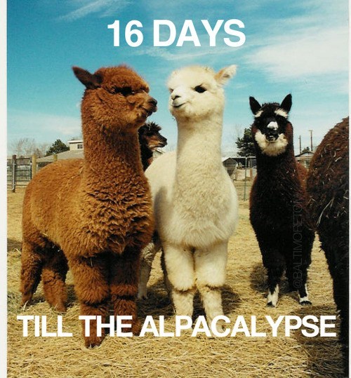 Commence the Countdown!