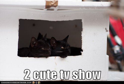 2 cute tv show