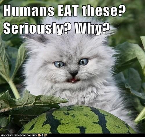 Humans EAT these? Seriously? Why?