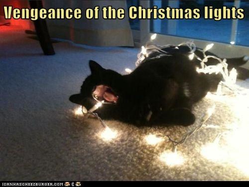 Vengeance of the Christmas lights