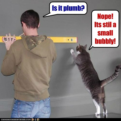 Kitteh can help yu!