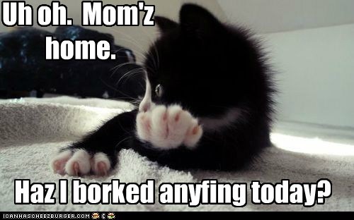 Uh oh.  Mom'z  home.