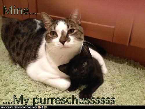 Mine...  ....My purreschussssss