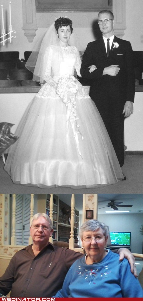 Celebrating 50 years
