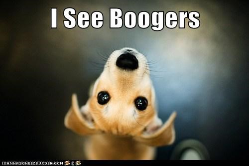 I See Boogers