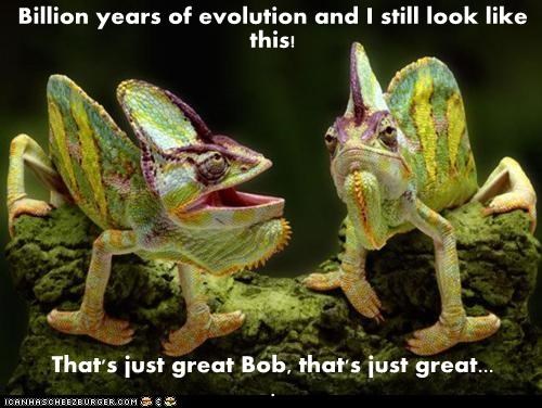 Billion years of evolution and I still look like this!  That's just great Bob, that's just great...                          .