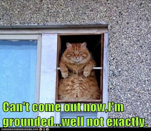 Can't come out now,I'm grounded...well not exactly.
