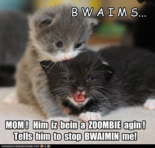 Zoombies wants BWAIMS...